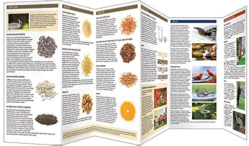 image for Bird Feeders and Food: Providing a Safe and Welcoming Habitat in Your 