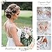 Barogirl Wedding Crystal Hair Comb Clip Bride Hair Piece Bridal Hair Accessories for Women