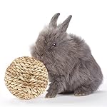 Give your rabbit the gift of healthy teeth with SunGrow's Rope Ball - Fights germs for healthy gums, stimulate physical and mental activity, make bunny 4X MORE ACTIVE