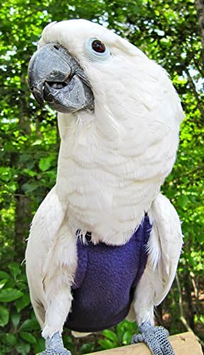 X-Wide Long FlightSuit (Bird Diaper) w/AnchorLine plus Flightliners (Purple Fleece)