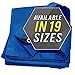 Large Waterproof Tarp - Heavy Duty 10 Mil Thick Poly Tarpaulin Ideal for Canopy Tents, Boats, RV or Pool Covers - Multipurpose Protective Tarps with Grommets for Indoor and Outdoor Use | 6' x 8'