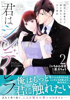 君はシンデレラ ～孤高な御曹司が絶え間なく愛を注ぐ理由～ [財閥御曹司シリーズ]の最新刊