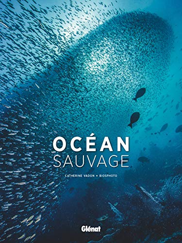 Océan sauvage by 