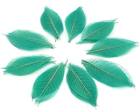 NAVA CHIANGMAI 100 Skeleton Leaves Color Decorative Craft Leaf 3 Inch (Light Blue Color) DIY Crafts Kits or Decorate on Various Occasions Artificial Leaves Craft Card Scrapbook