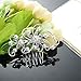 Gentlecarin Vintage Bling Crystal Hair Comb for Women Princess Luxury Style (Y0N7)