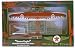 WINGS OF TEXACO 10th in the Series (Ertl 20684P) TEXACO EAGLET - A Modified Franklin Utility Glider Die-Cast Metal Coin Bank