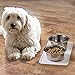 mDesign Premium Quality Square Pet Food and Water Bowl Feeding Mat for Dogs and Cats, Waterproof Non-Slip Durable Silicone Placemat - Food Safe - Small, Linelle Collection - Clear