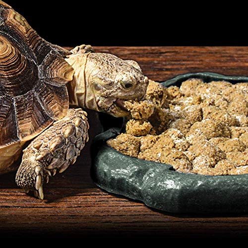 6 SLSON+Reptile+Terraium+Plastic+Feeding