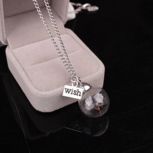 Kongnijiwa Bottle Real Dandelion Seeds Botanical Necklace Glass Ball Pendant Necklaces For Women Girl