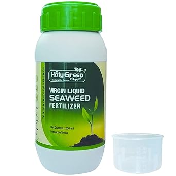 Holy Green Liquid Virgin Seaweed Fertilizer Concentrate (250 ml) with Measuring Cup (75 ml) for Both Indoor and Outdoor Plants 250 ml