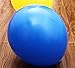 king's store,200 PCS of 12 inches 2.8 g heavy thickening, ten kinds of color rainbow balloon balloons
