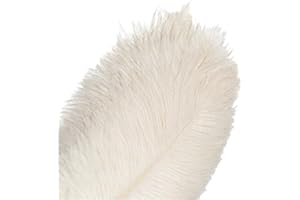 Natural White Ostrich Feathers 10Pcs Bulk,8-10 inch (20-25cm) Beautiful Long Feather for Crafts,Wedding Centerpieces Party Ho