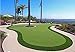 · Petgrow · Pro Putting Green Golf Artificial Grass Turf - Indoor Outdoor Golf Training Mat, Synthetic Fake Grass for Baseball Football Gym Sports