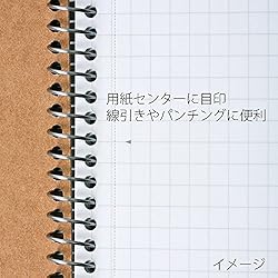 Maruman N246ES Ring Notebook, 0.2 inch (5 mm), Grid