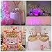 Suppromo 9ft Pink Tulle Table Skirt for Rectangle Tables or Round Tables Tutu Table Cloths for Princess Baby Shower Girl Birthday Party Cake Dessert Decorations(L9(ft)*H 30in, Pink)