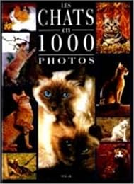 Les  chats en 1000 photos
