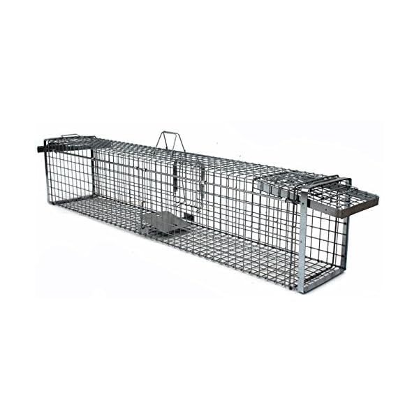 Holtaz Hardy Super Starke Falle Marderfalle Katzenfalle Fuchsfalle Biberfalle Tierfalle Kastenfalle Drahtfalle WaschbÃ¤rfalle 2 TÃ¼ren, GrÃ¶Ãe: 180x34x34 cm Mit Extra KÃ¶der – Bild 3
