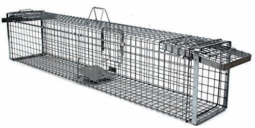 Holtaz Hardy Super Starke Falle Marderfalle Katzenfalle Fuchsfalle Biberfalle Tierfalle Kastenfalle Drahtfalle Waschbärfalle 2 Türen, GröÃe: 180x34x34 cm Mit Extra Köder – Bild 3