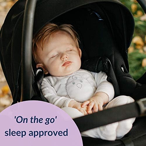 nested bean australia