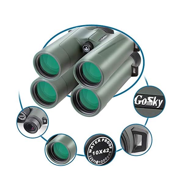 Gosky Fernglas für Erwachsene, 10 x 42, Ultra HD, Profi-Fernglas für Vogelbeobachtung, Reisen, Sternenbeobachtung, Jagd… – Bild 4