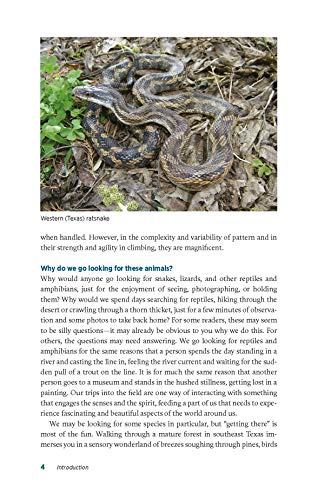 image for Texas A&M University Press Herping Texas: The Quest for Reptiles and A
