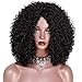 ENTRANCED STYLES Synthetic Curly Wig For Women Kinky Afro Wigs for Black Women Full Wigs Heat Resistant Fiber (280g 14