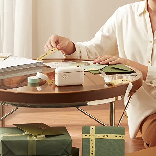 NIIMBOT H1S Label Maker Machine with Tape, 0.47