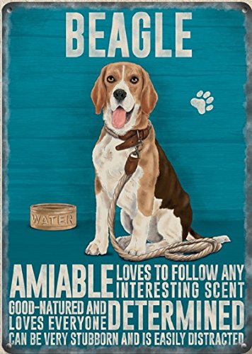 Small (150 x 200mm) Metal Sign - Beagle