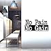 Extra Large Gym Wall Decal | No Pain No Gain Inspirational Wall Sticker Quote | 2 ft x 4 ft Huge Wall Art Decoration | Big Vinyl Lettering Motivation for The Home Gym | Workout Fitness Exercise Sign