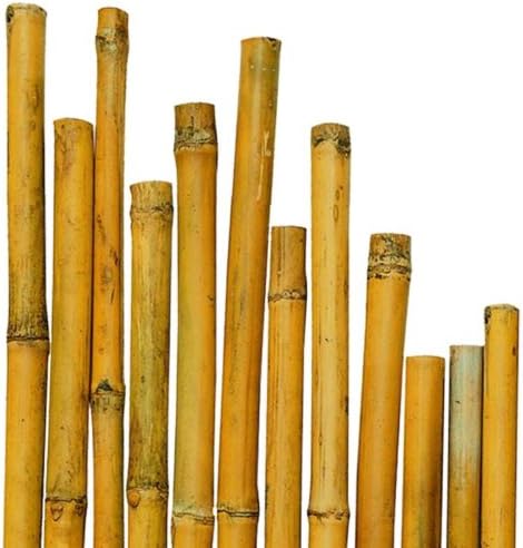 25 Canne Di Bambù Per Piante Ø 26-28 Mm H 1,8 Mt - Tutoraggio E Arredamento Da Giardino