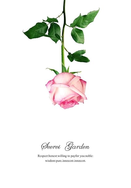 Liike Sticker Mural Coeur Rose Fleur Rose Décoration De La