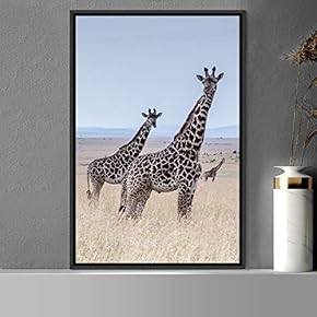 signwin Framed Canvas Wall Art Giraffe Animals Expressive...