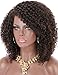 Kalyss Brown Highlights Afro Kinky Curly Wigs for Black Women Premium Synthetic Hair Wig Curved Part Natural Looking Hair Wigs for Women Daily Wear Hairpiece
