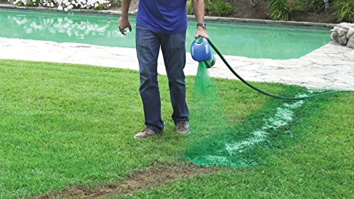 Hydro Mousse - Liquid Lawn Fescue Hydroseeding Kit, Covers up to 100 sq
