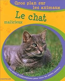 Le  chat malicieux