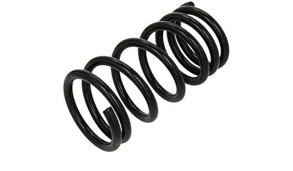 lesjofers 4227525 Muelle Trasera: Amazon.es: Coche y moto