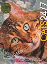 Cats 24/7: Extraordinary Photographs of Wonderful Cats