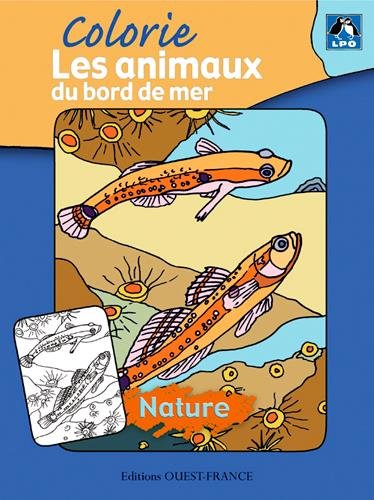 Les  animaux du bord de mer