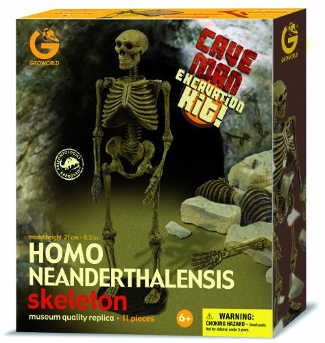 Geoworld Cave Man Excavation Kit - Homo Neanderthalensis Skeleton