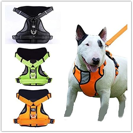 amazon venta de perros