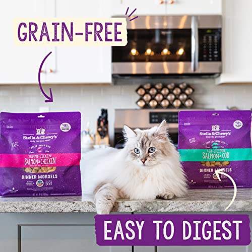 Stella & Chewy’s FreezeDried Raw Cat Dinner Morsels Grain Free