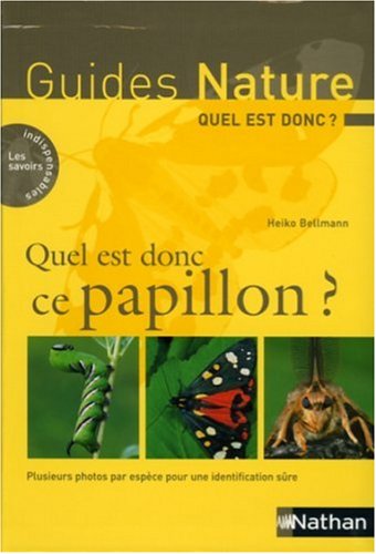 Quel est donc ce papillon ?