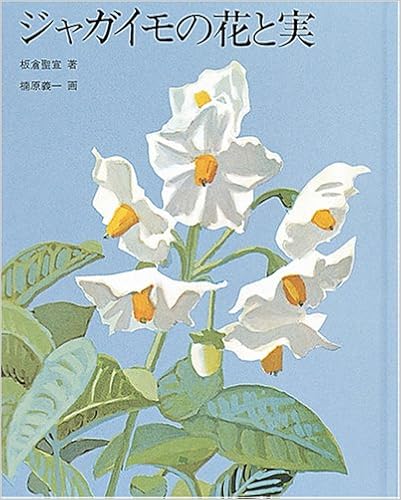 ジャガイモの花と実 福音館の科学シリーズ 板倉 聖宣 楠原 義一 本 通販 Amazon