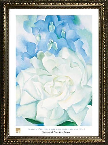 Buyartforless Work Framed White Rose with Larkspur No. 2 by Georgia O'Keefe 32x24 Print Poster Floral Famous Painting from Museum of Fine Arts Boston Collection
