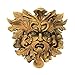 Design Toscano Oak King Greenman Wall Decor, woodtone 12.00