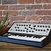 Moog Sub Phatty 25-Key Analog Synthesizer
