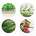 QUMY Large Aquarium Plants Artificial Plastic Fish Tank Plants Decoration Ornament for All Fish