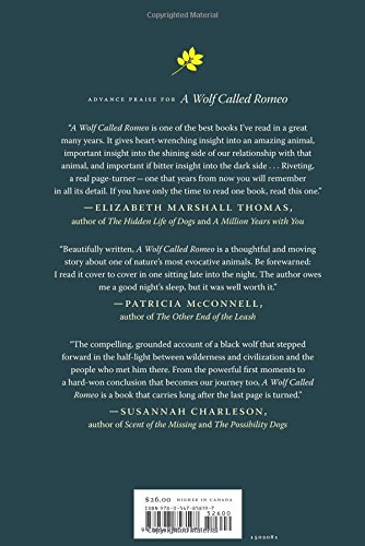 A Wolf Called Romeo Jans Nick 9780547858197 Amazon Com Books