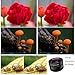 Vteyes Universal Mobile Phone Macro Lens, No Dark Circle, Professional Clip-on 20X Macro Cell Phone Camera Lens kit for iPhone Samsung Android Smart phones Most Cell Phones