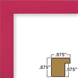 Craig Frames Confetti, 17 x 22 Inch Modern Pink